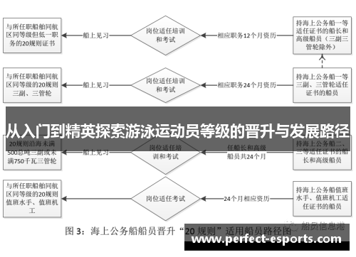 从入门到精英探索游泳运动员等级的晋升与发展路径